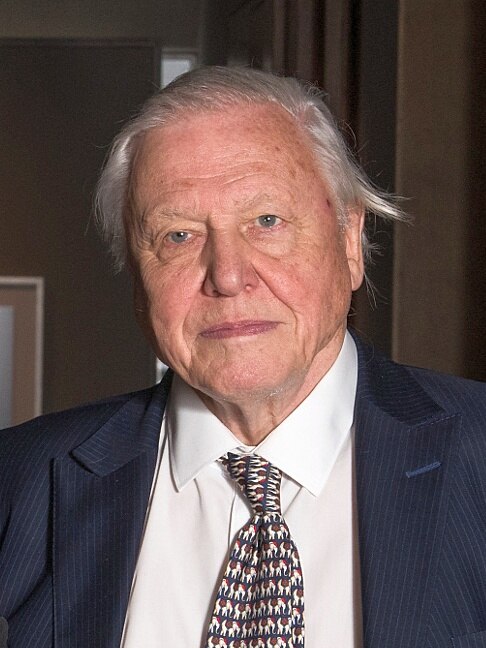 Sir David Frederick Attenborough - INFJ Personality Type