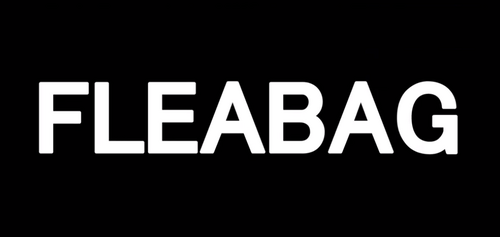 Fleabag (unnamed protagonist) - ENFP Type