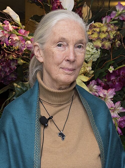 Jane Goodall - INFJ Type