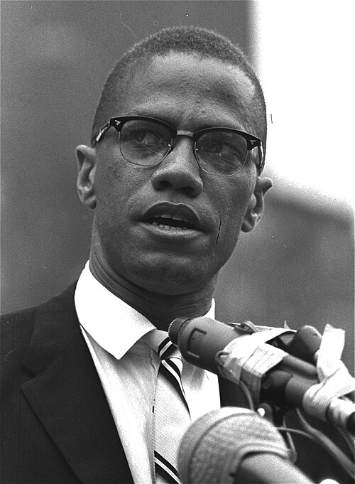 Malcolm X - ENTJ Type