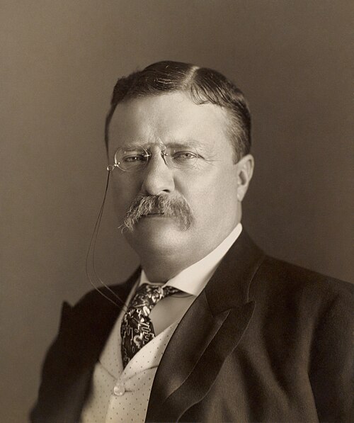 Theodore Roosevelt - ESTP Type
