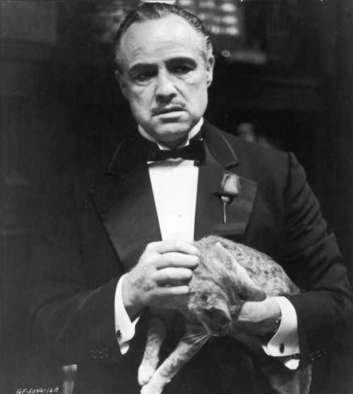Vito Corleone - ISTJ Type